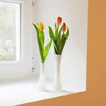 Allure * Спліт